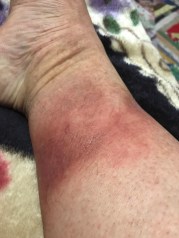 2019-04-04 07.55.15.jpg